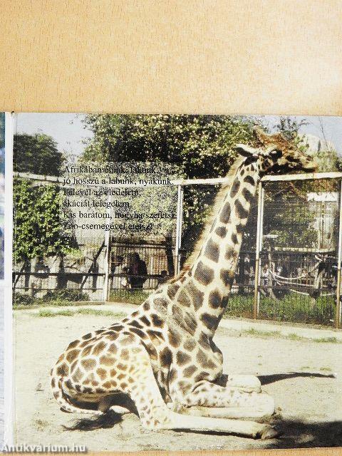 Állatok az állatkertben