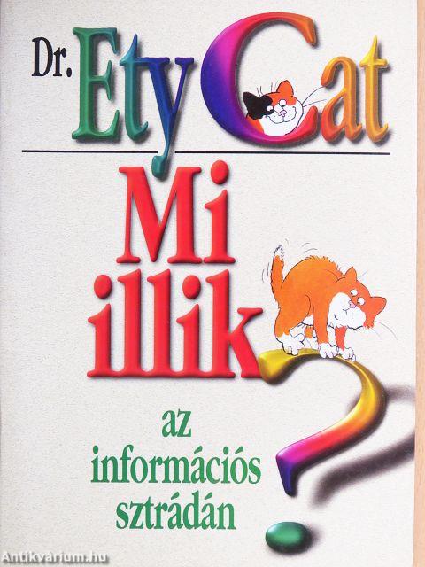 Mi illik az információs sztrádán?