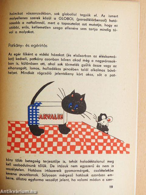 Nagytakarítás - nagymosás