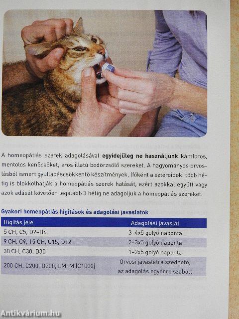 "Kutyabaj és macskajaj" homeopátiás kezelése