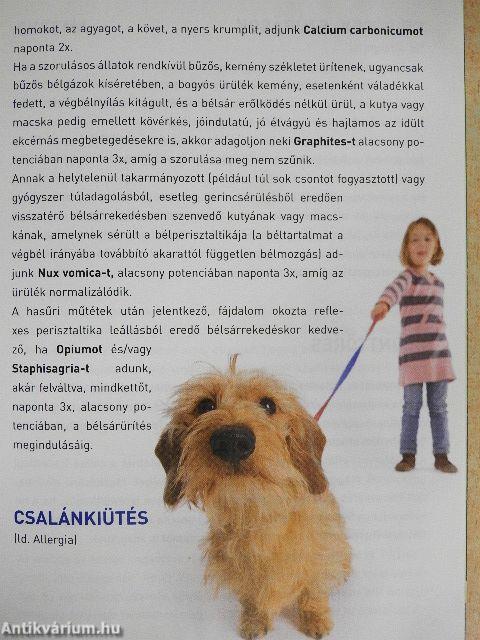 "Kutyabaj és macskajaj" homeopátiás kezelése