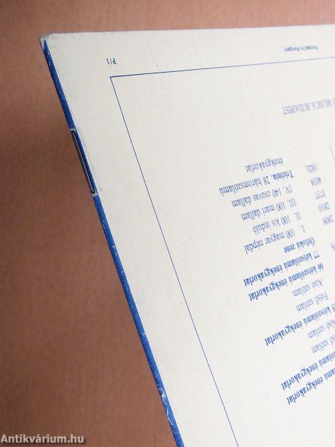 Társas zene gyermekeknek