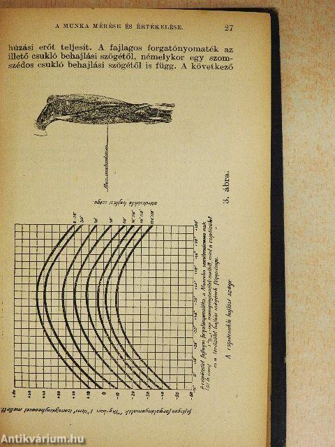 Munka és fáradság