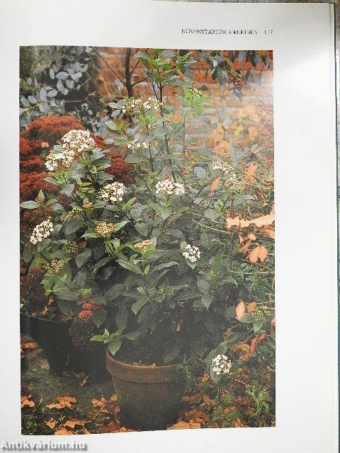 Kert a dézsában, dézsa a kertben