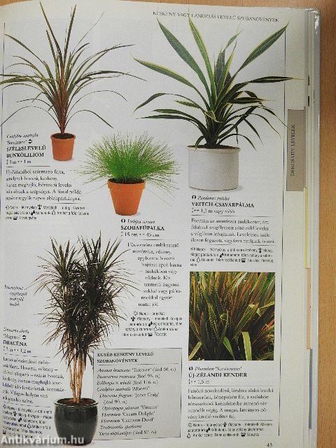 Melyik növény hova való?