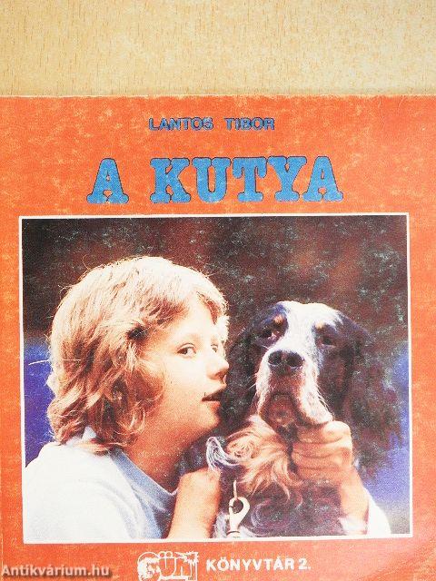 A kutya