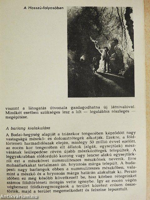 Budapest - Szemlő-hegyi barlang