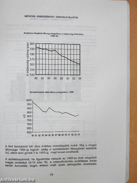 Társadalmi-gazdasági helyzetkép - Szabolcs-Szatmár-Bereg megye 1995. II.