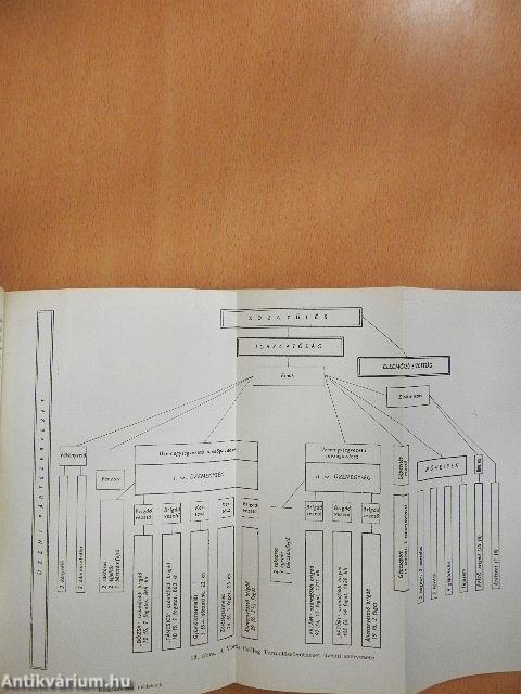 Üzemszervezési módszerek a barcsi Vörös Csillag Termelőszövetkezetben