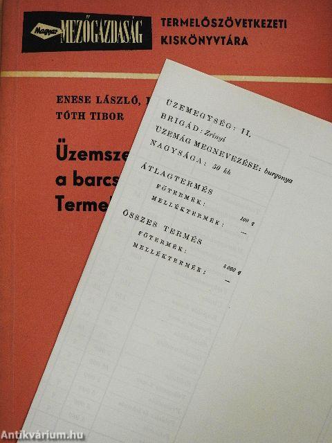 Üzemszervezési módszerek a barcsi Vörös Csillag Termelőszövetkezetben