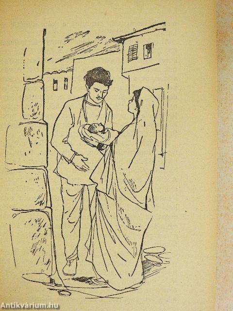 A kán meg a többiek