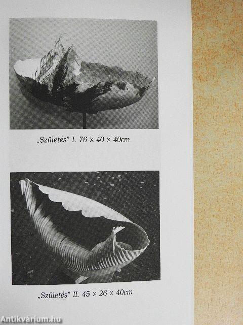 A Teremtő kezében vagyunk mindnyájan