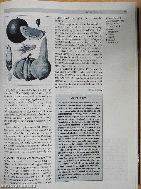 A magyar nyelv és irodalom enciklopédiája