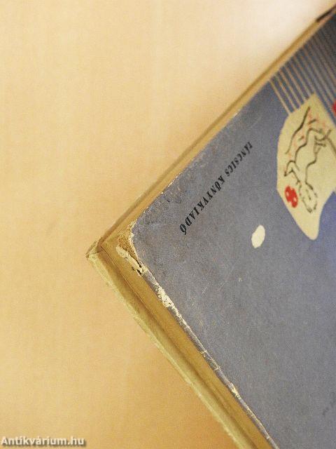 A dolgozó nő otthon