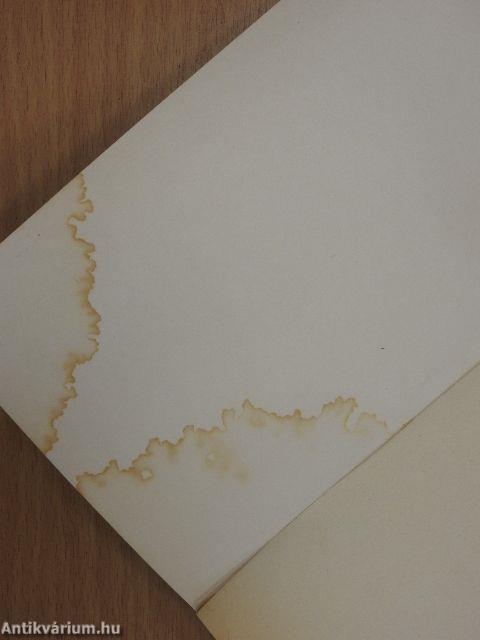 La cittá delle donne