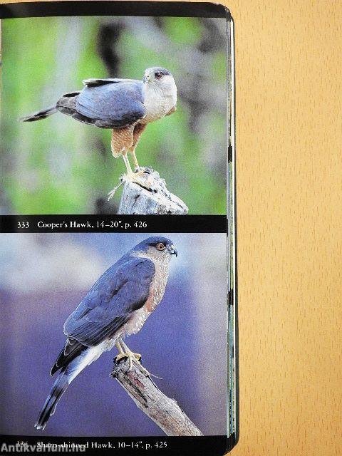 National Audubon Society Field Guide to North American Birds