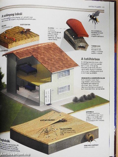 Természettudományi Enciklopédia 7.