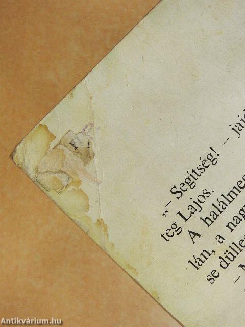 Gyere haza, Mikkamakka!