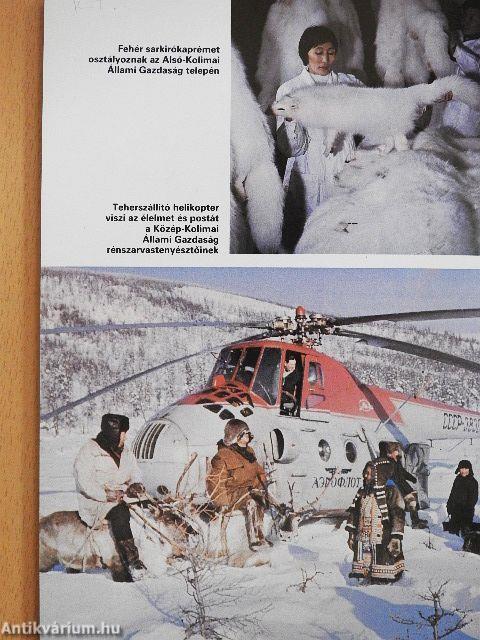 Szibéria közelről