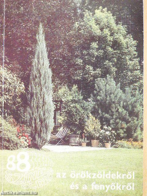 Az örökzöldekről és a fenyőkről