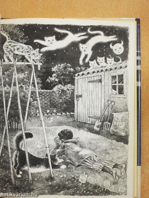 The Stories Julian Tells