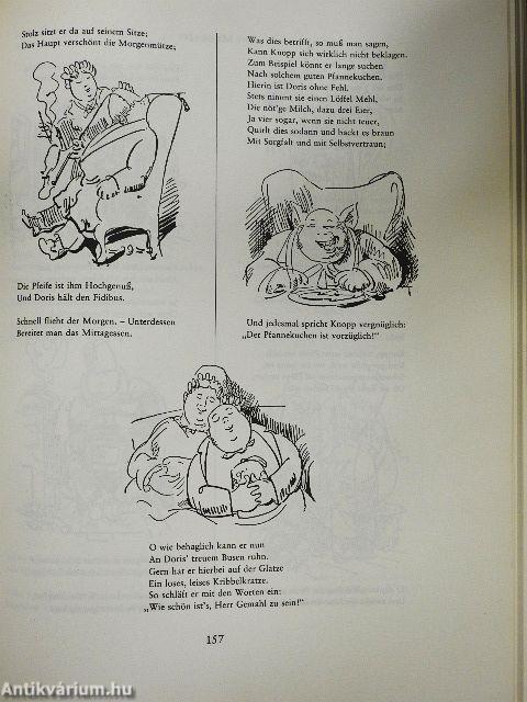 Das dicke Busch-Buch