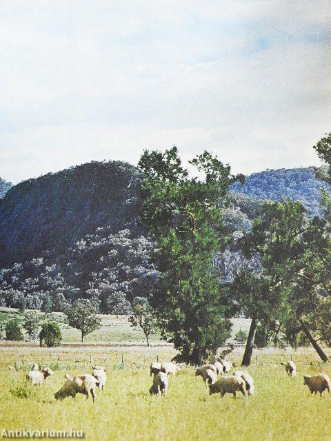 Australian Landscapes
