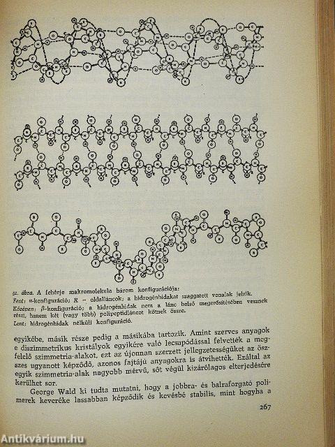 A természettudományos világkép