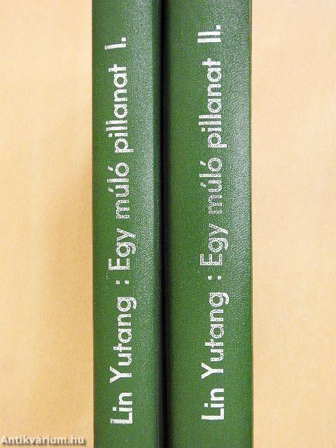 Egy múló pillanat I-II.