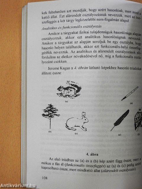 Szemelvények a fejlődéslélektan köréből