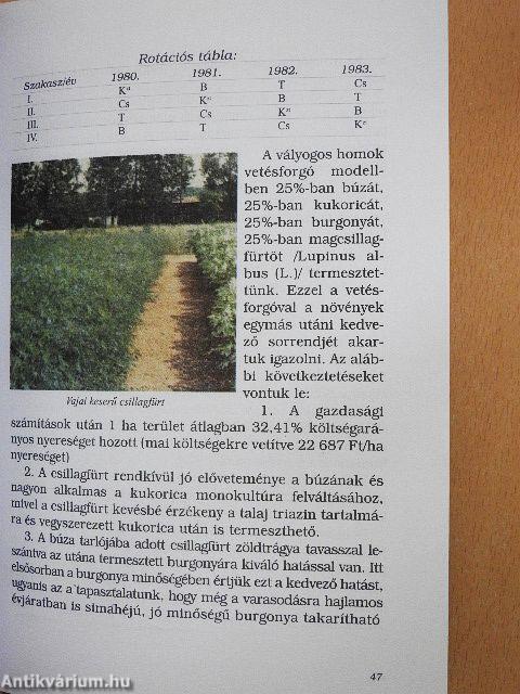 A vajai csillagfürtnemesítés