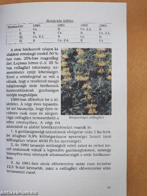 A vajai csillagfürtnemesítés