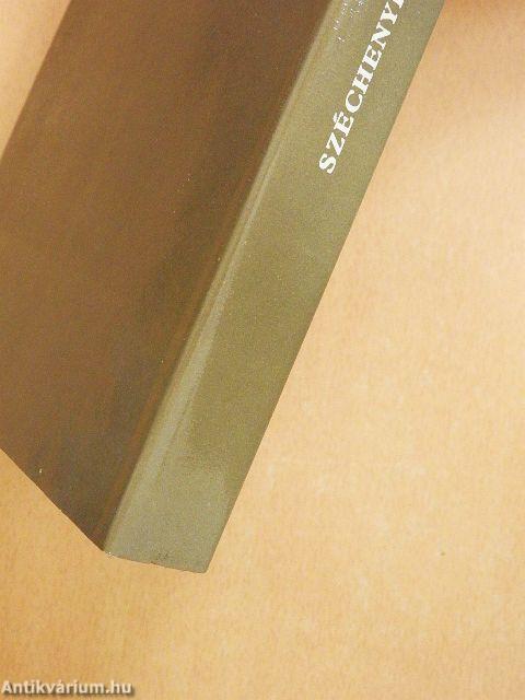 Széchenyi pesti tervei