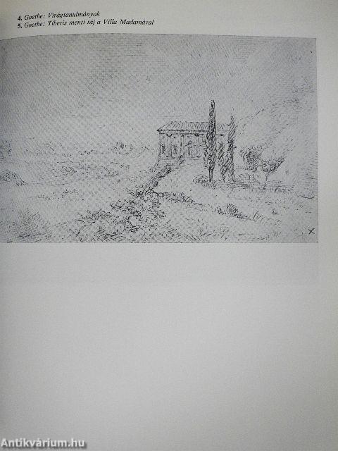 A műalkotások igazságáról és valószerűségéről