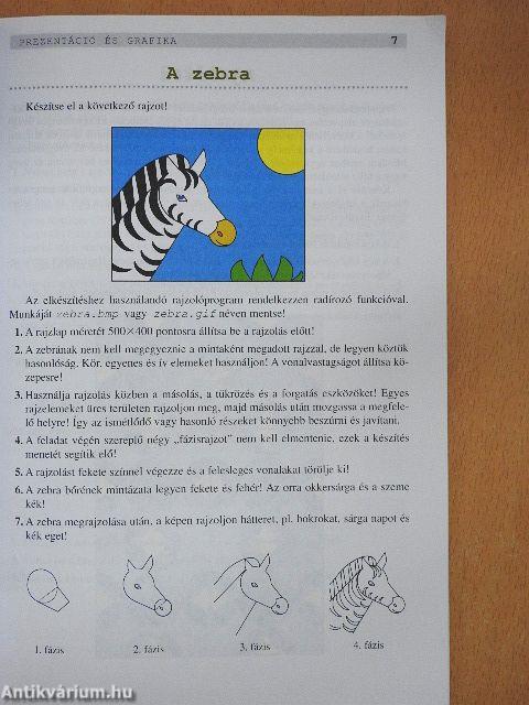 Érettségire felkészítő feladatgyűjtemény - Informatika - CD-vel