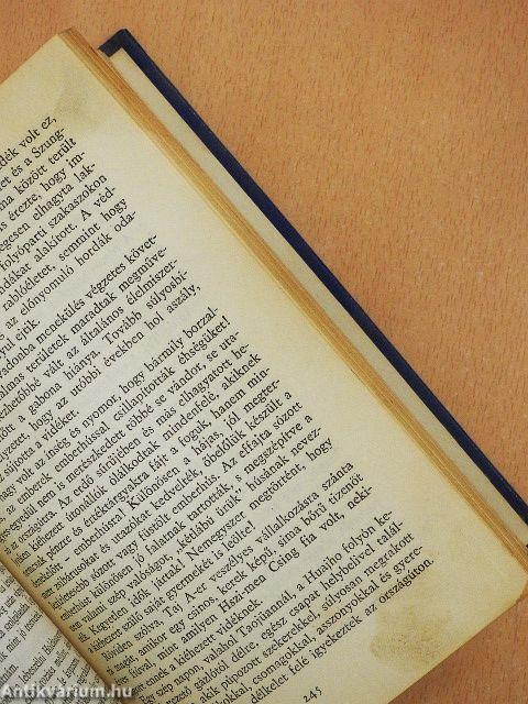 Virágok árnya a függöny mögött