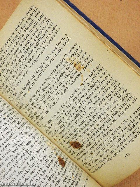 Virágok árnya a függöny mögött