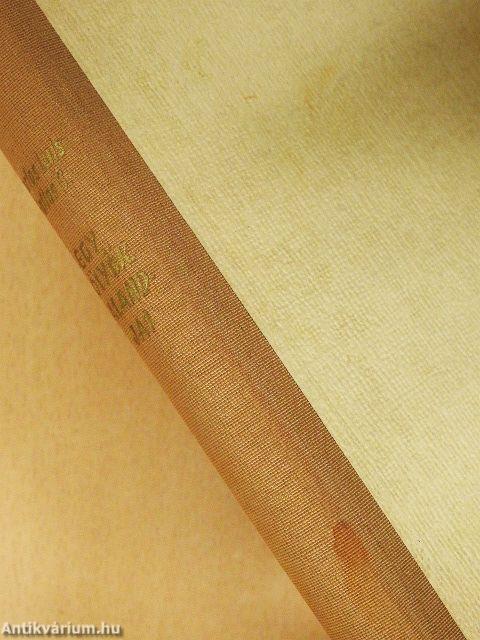 Egy kölyök kalandjai