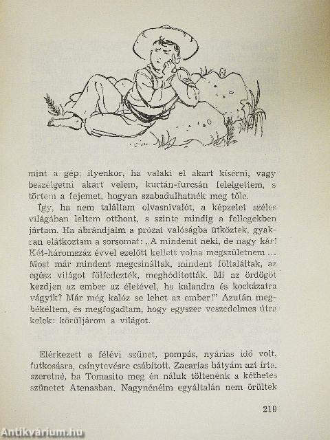 Egy kölyök kalandjai