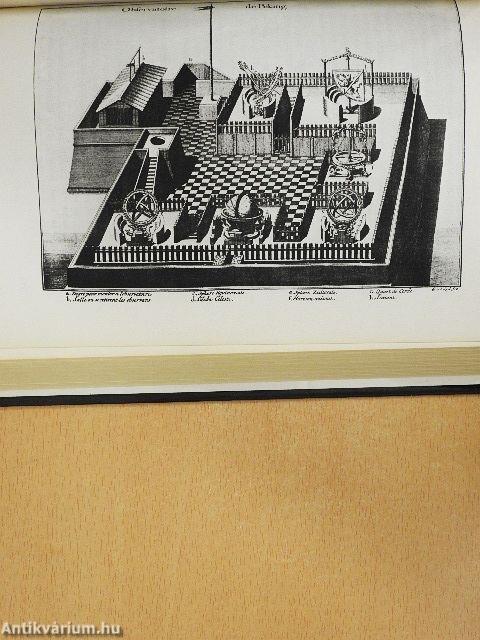 "Vadak" és "civilizáltak"