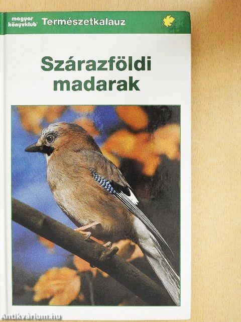 Szárazföldi madarak