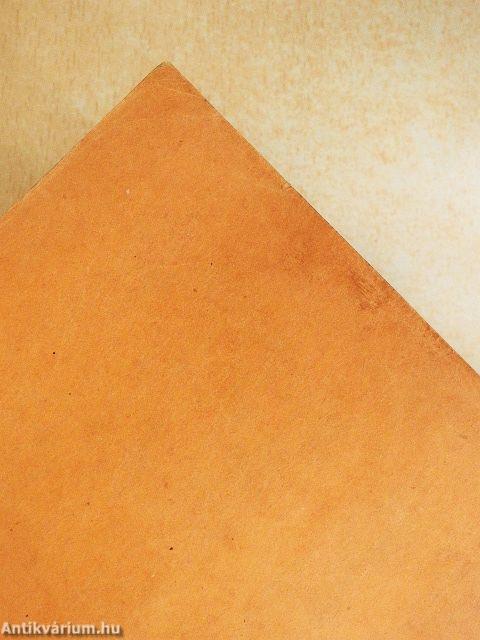 Leonardo da Vinci/Michelangelo élete