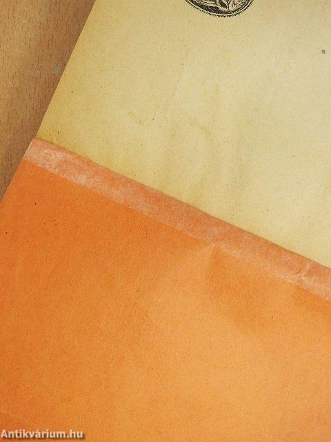 Leonardo da Vinci/Michelangelo élete