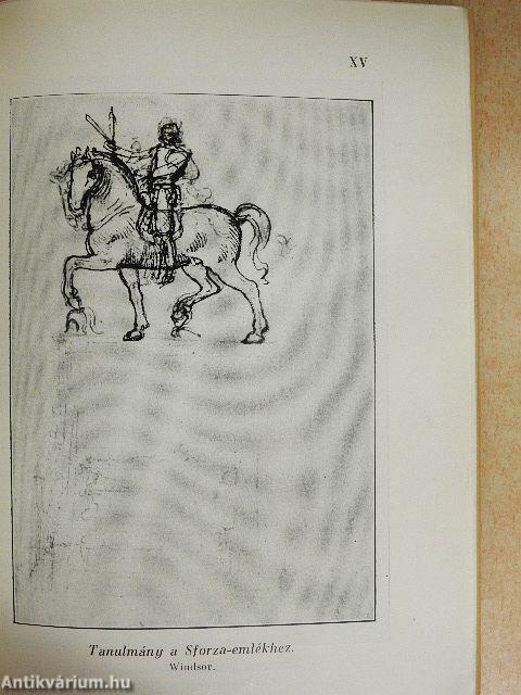 Leonardo da Vinci/Michelangelo élete