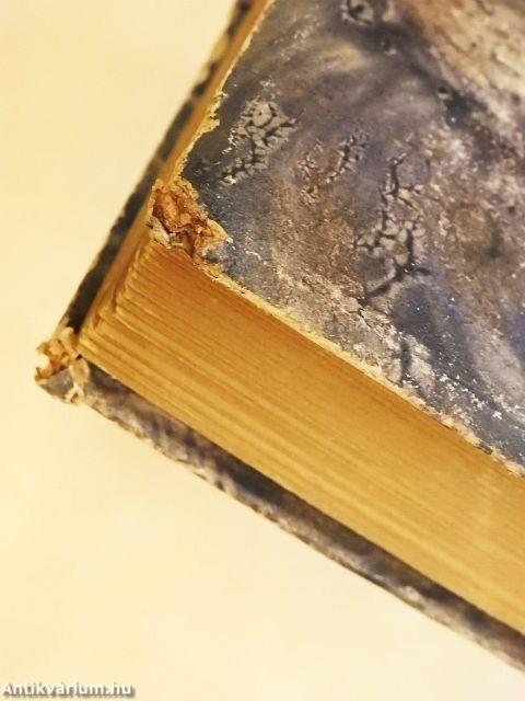 Ami az álomban valóság