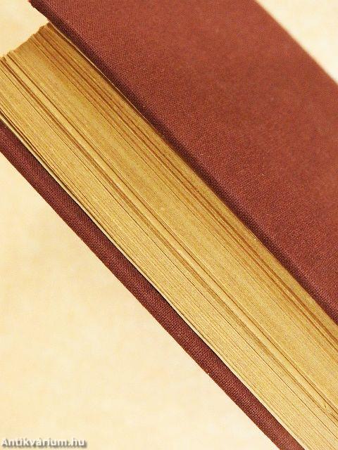 Az éjbe merült nap