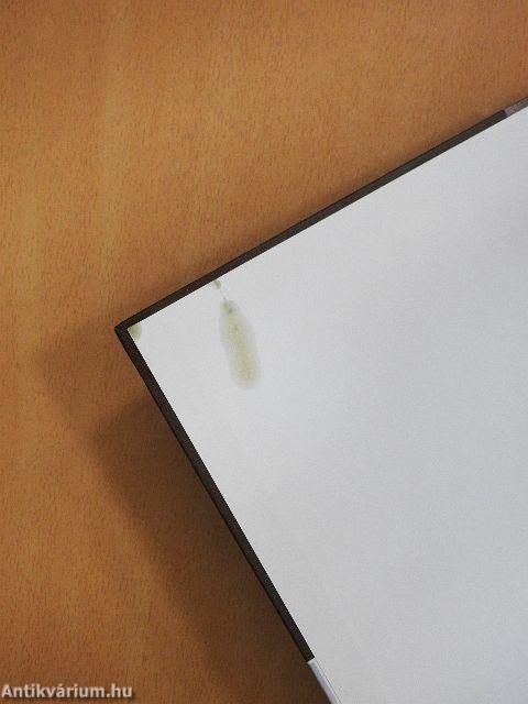 Vidékfejlesztési politika