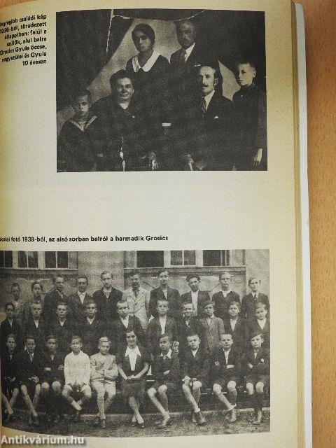 A Grosics-villa titka