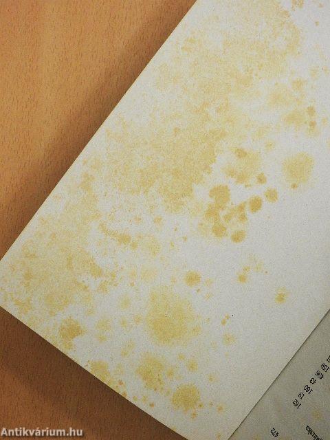 Esély Szakácskönyv 2.