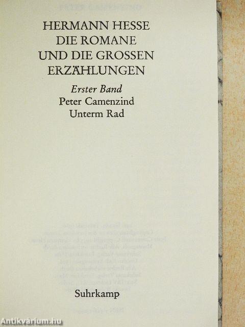 Die Romane und die grossen Erzählungen 1-8.